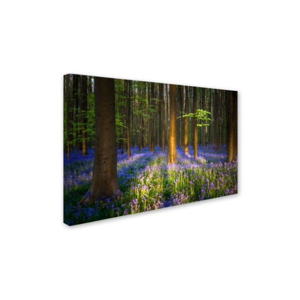 Mathieu Rivrin 'Mystical Forest' Canvas Art,12x19